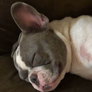 Meet your Posher, Analisa